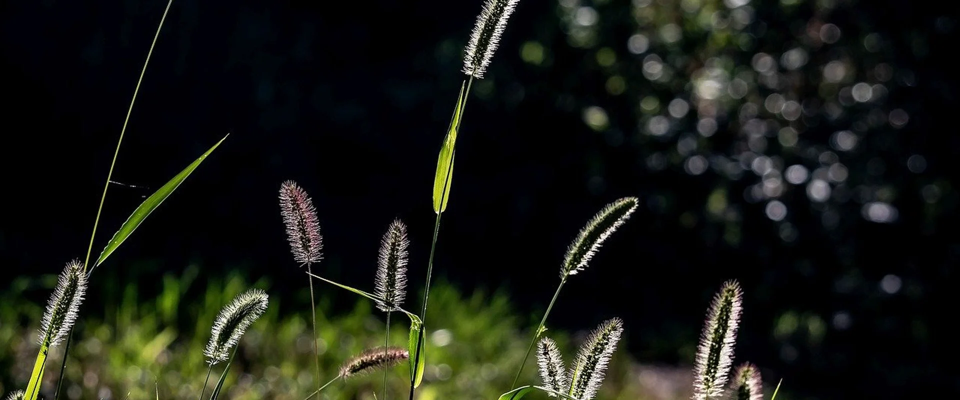 天博体育PG电子